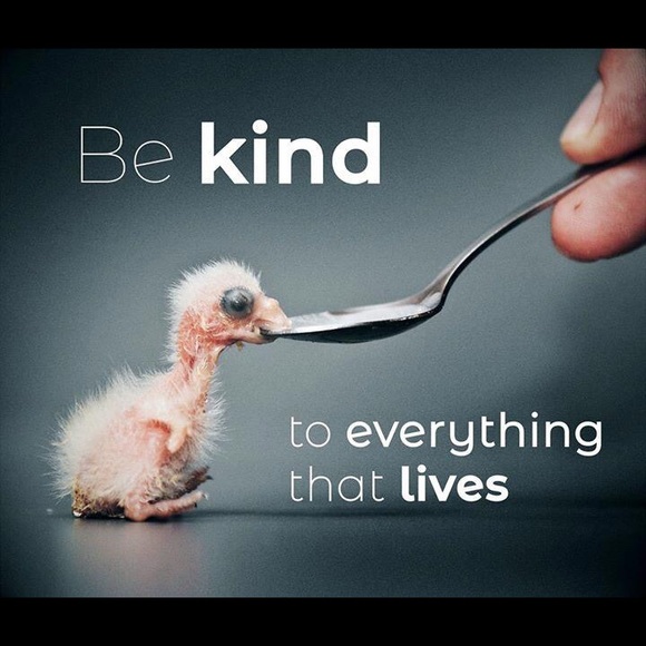 Meet your Posher, Marisa - Picture 1 of 16